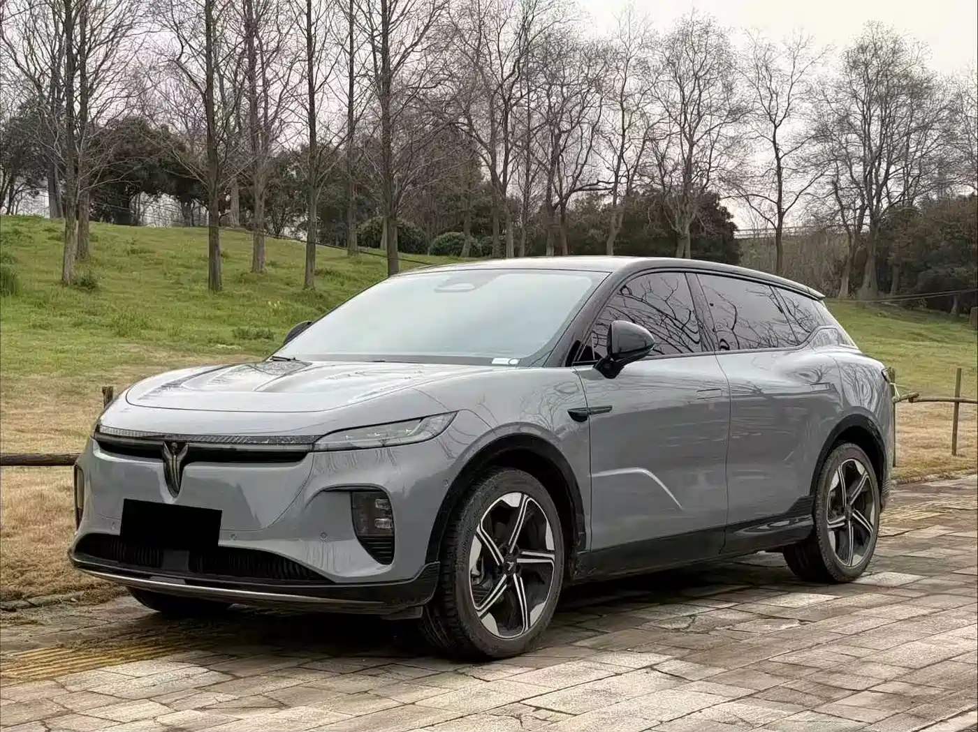 Voyah Auto Voyah Zhiyin 2024 Long Range Super Charging Edition