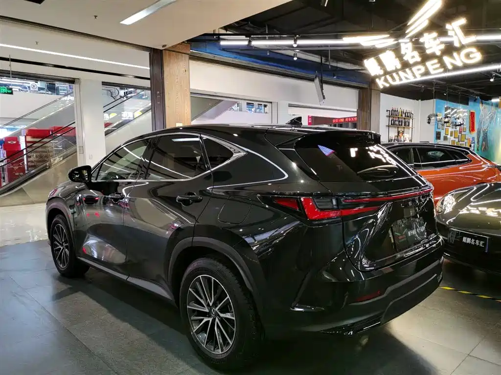 Lexus NX 2023 260 FWD Joy Creation Edition фото 3