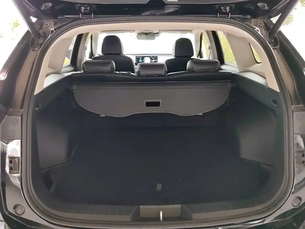 Haval H6 New Energy 2022 2023 DHT-PHEV 110KM Joy Ride Edition