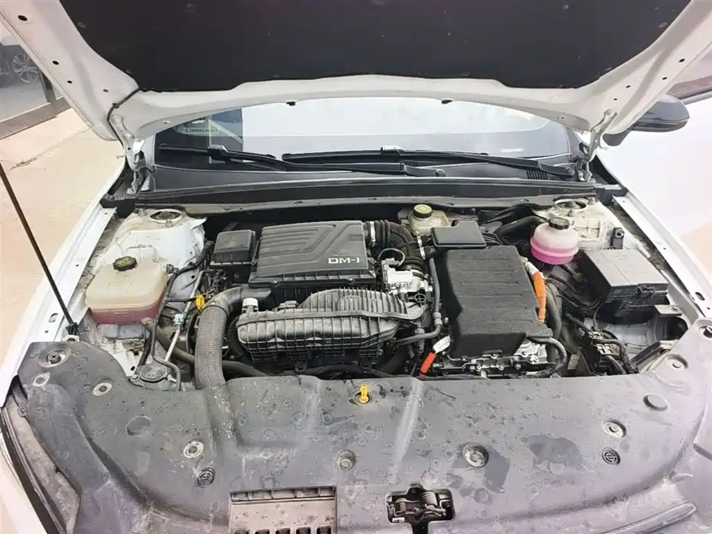 BYD Qin PLUS 2024 Glory Edition DM-i 55KM Leading фото 20