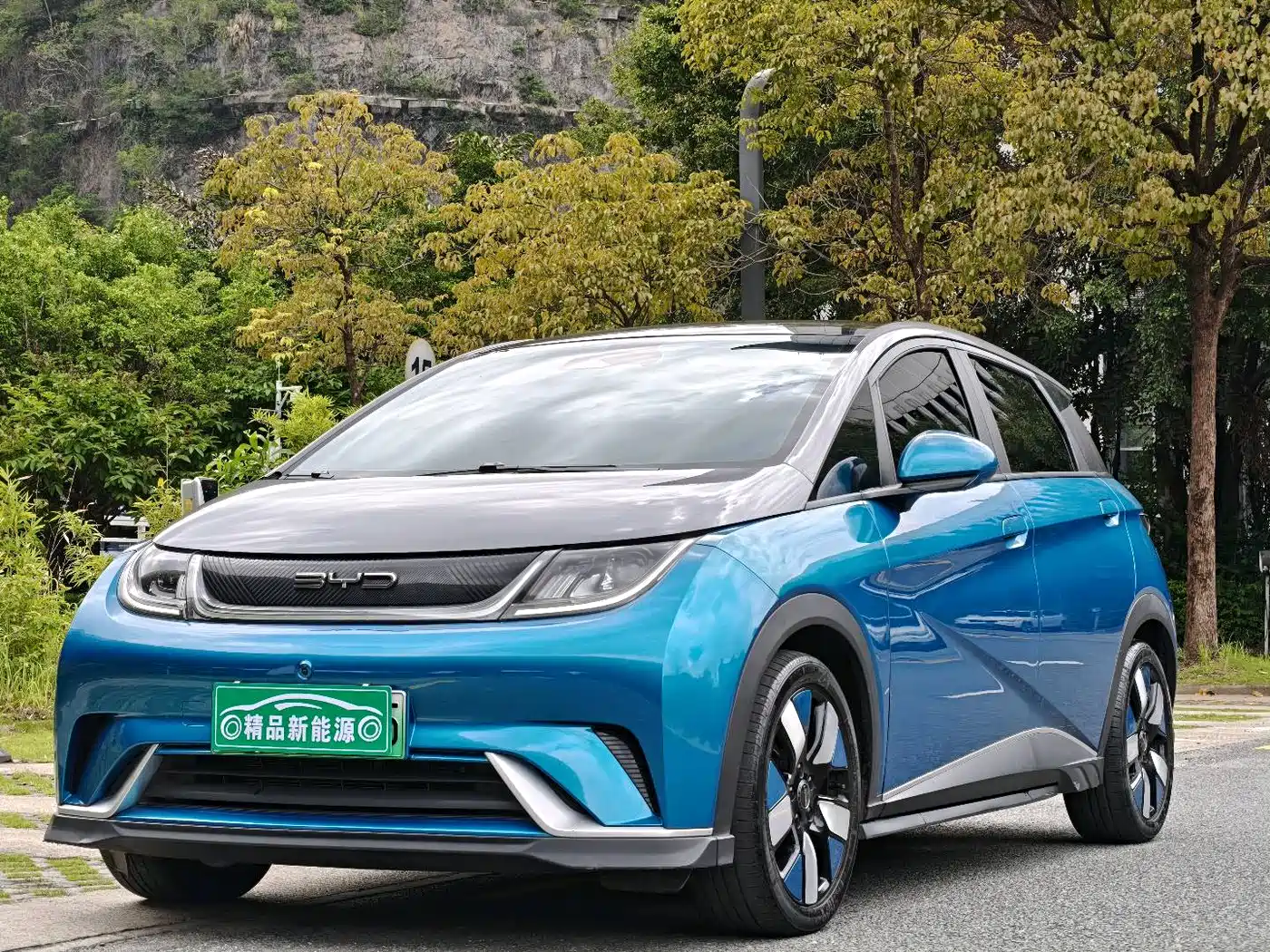 BYD Dolphin 2023 401km Knight Edition