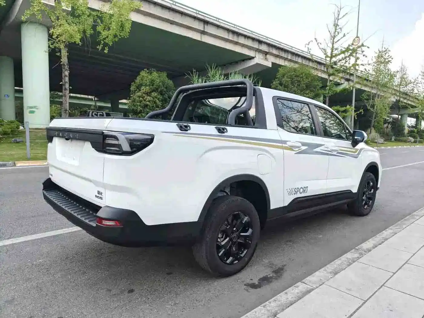 Geely Radar Radar Horizon 2025 2024 415km 2WD Champion Edition