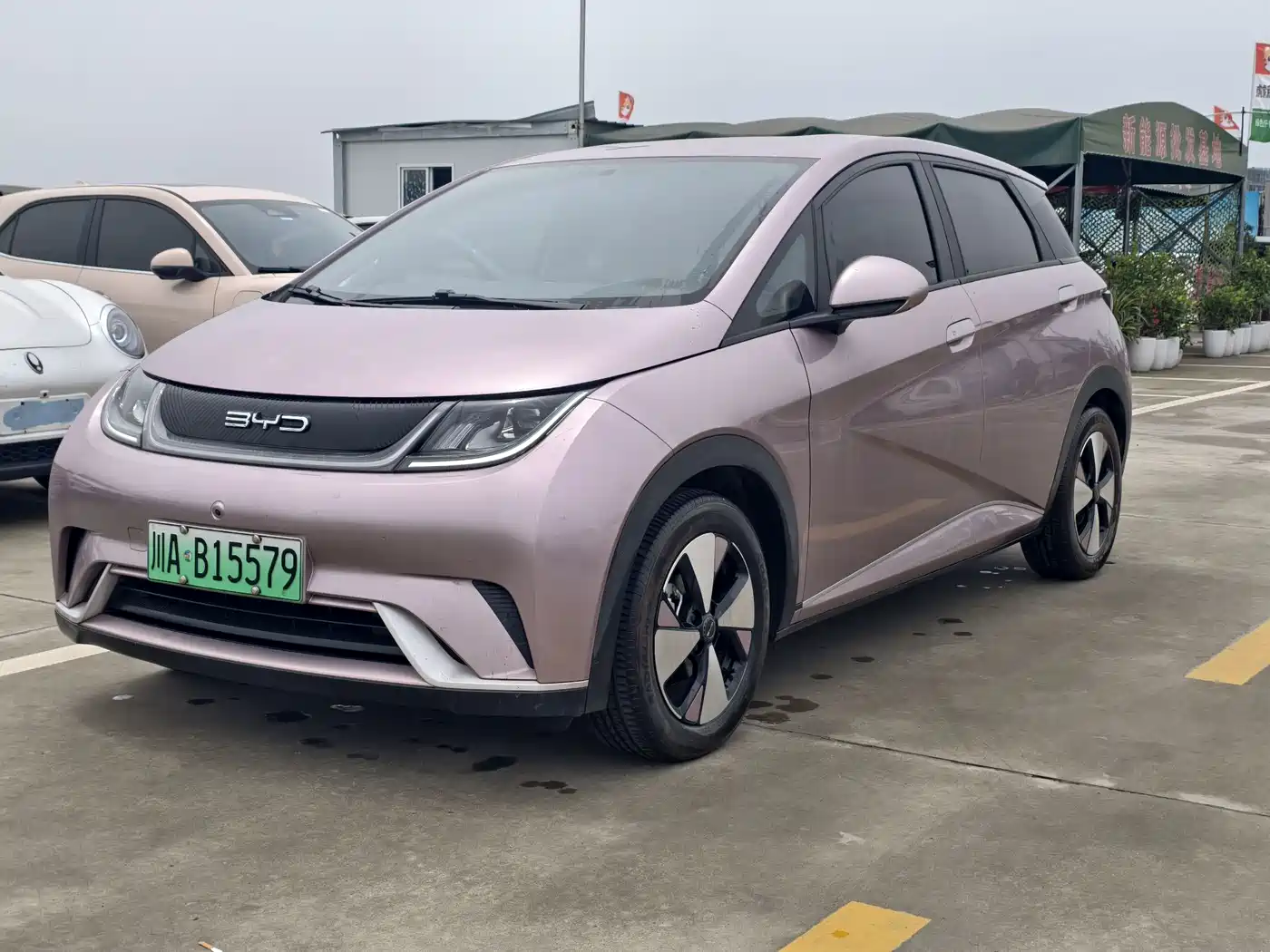 BYD Dolphin 2023 420km Freedom Edition