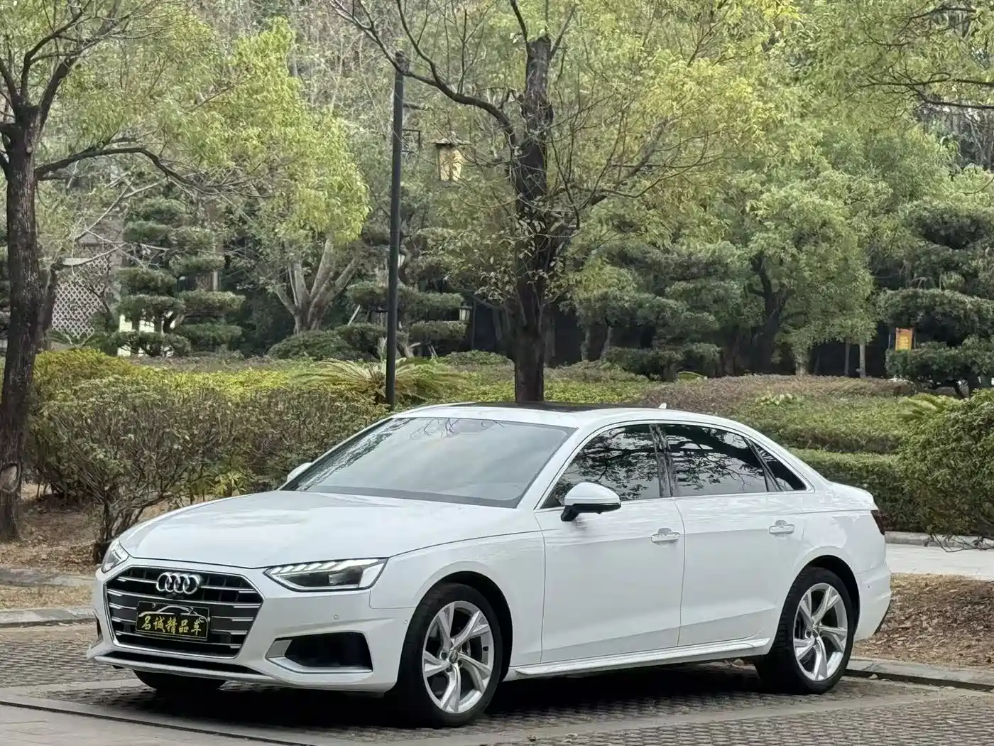Audi A4L 2020 40 TFSI Luxury Elegance