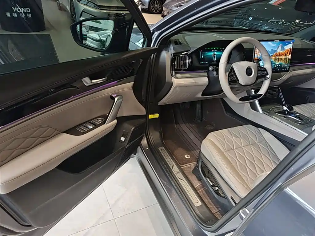 BYD Tang New Energy 2024 DM-p Glory Edition 215KM AWD Premium фото 16