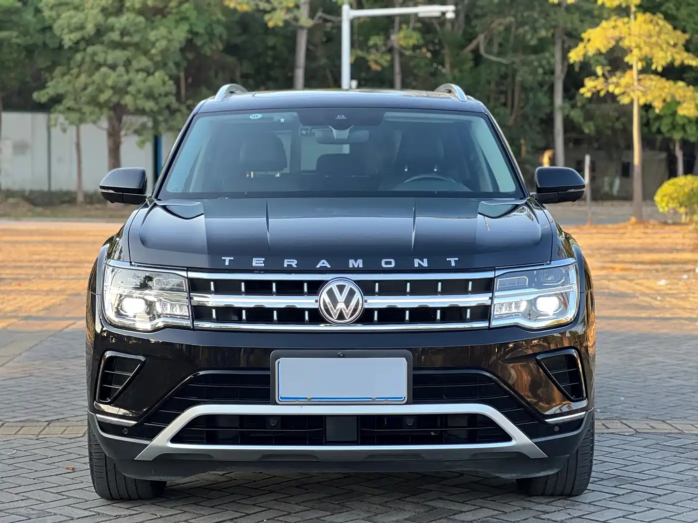 Volkswagen Teramont 2022 330TSI 2WD Premium Luxury фото 2