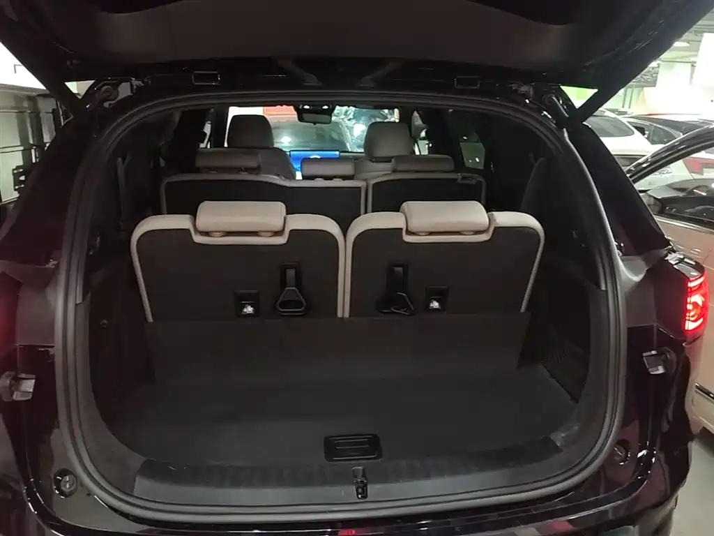 BYD Tang New Energy 2025 DM-i 115KM Premium фото 19