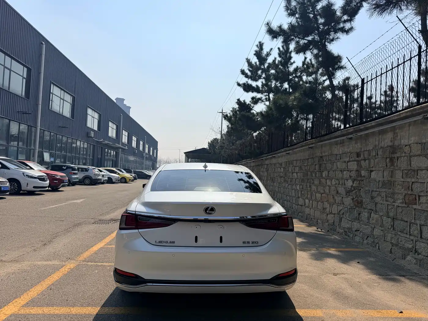 Lexus ES 2024 200 Premium Edition фото 8
