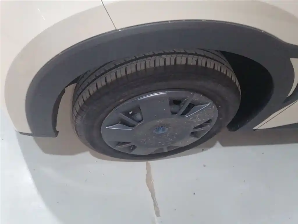 BYD Seagull 2025 Smart Drive Edition 305km Vitality Version фото 23