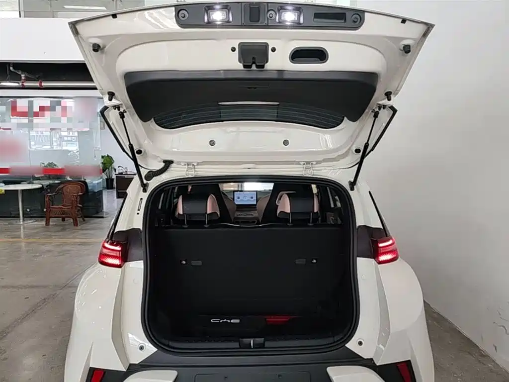 BYD Seagull 2025 Smart Drive Edition 305km Vitality Version фото 19