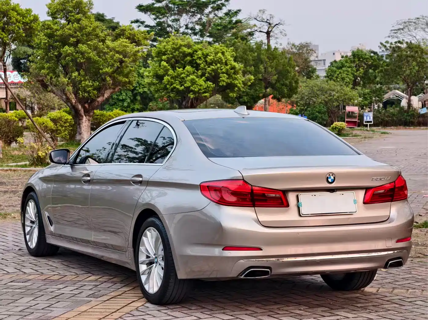BMW 5 Series 2020 530Li Leading Luxury Package фото 4