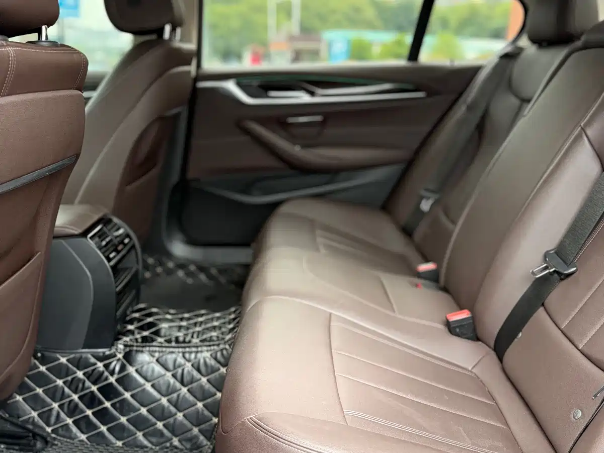 BMW 5 Series 2020 525Li Luxury Package фото 15