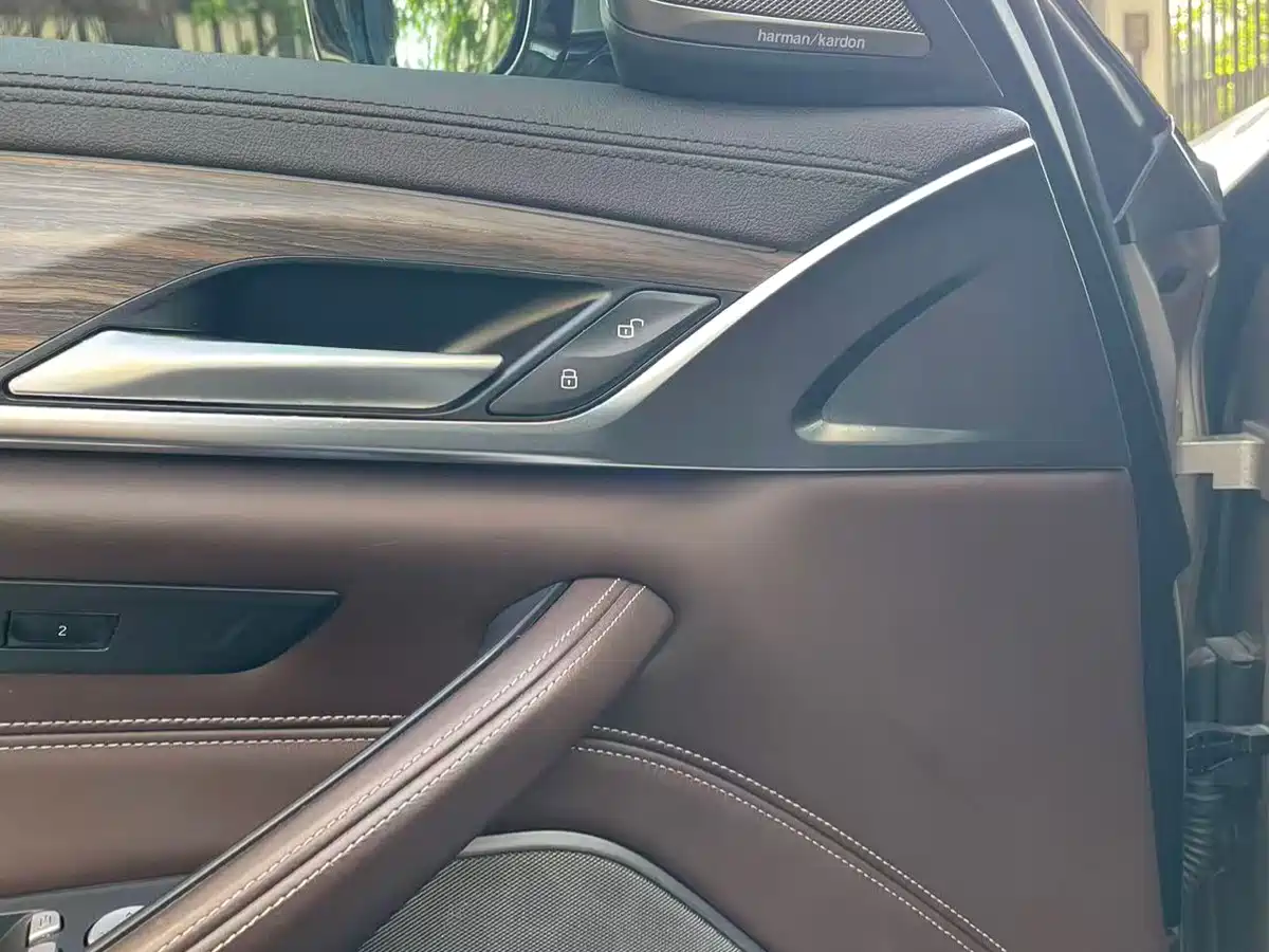 BMW 5 Series 2019 530Li Leading Luxury Package фото 11