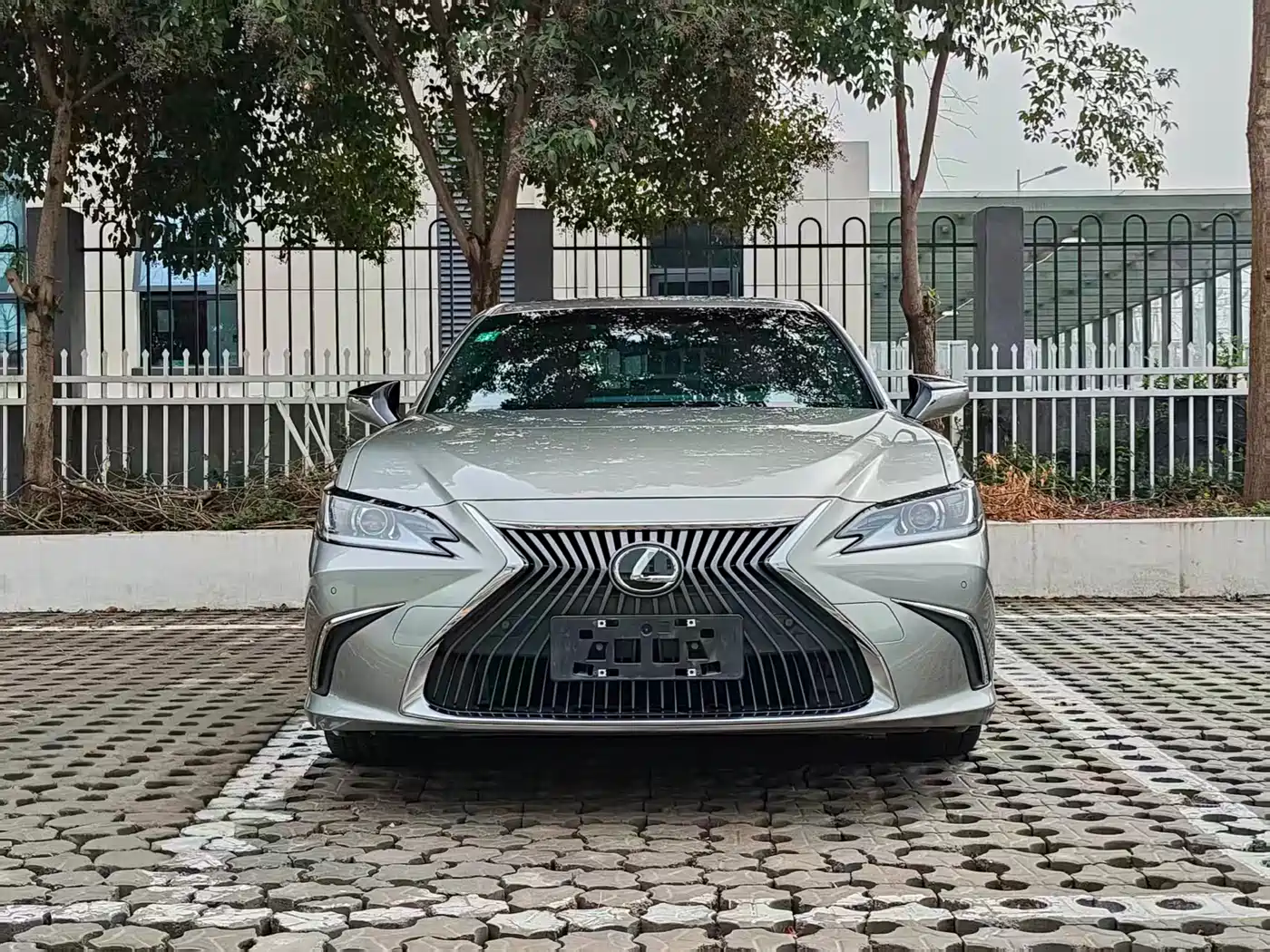 Lexus ES 2020 Model 260 Excellence Edition China V фото 2