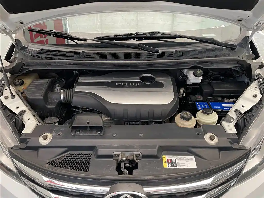 SAIC MAXUS CHASE G10