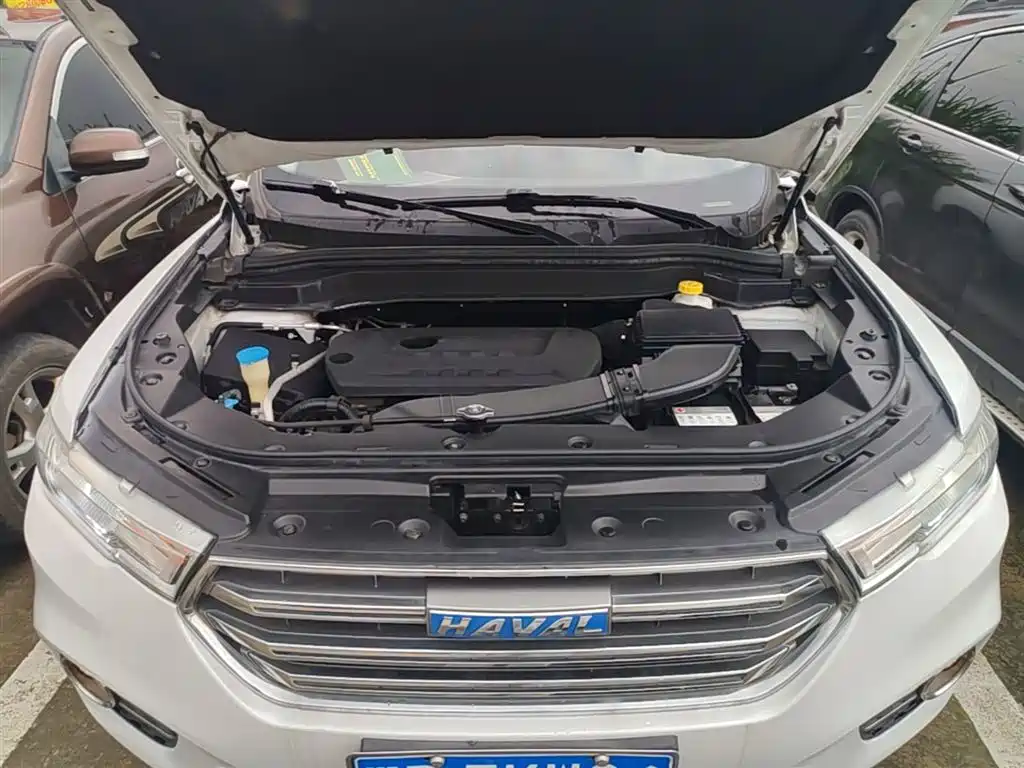 Haval H6 2017 Blue Label 2.0T Automatic 2WD Smart Edition фото 20