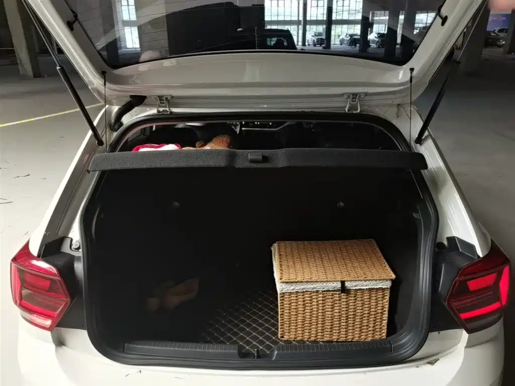 Volkswagen Polo 2019 Plus 1.5L Automatic Colorful Tech Edition фото 19
