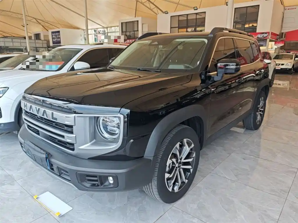 Haval Big Dog 2024 1.5T DCT Border Collie Edition