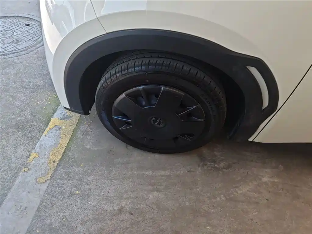 BYD Seagull 2025 305km Vitality фото 23