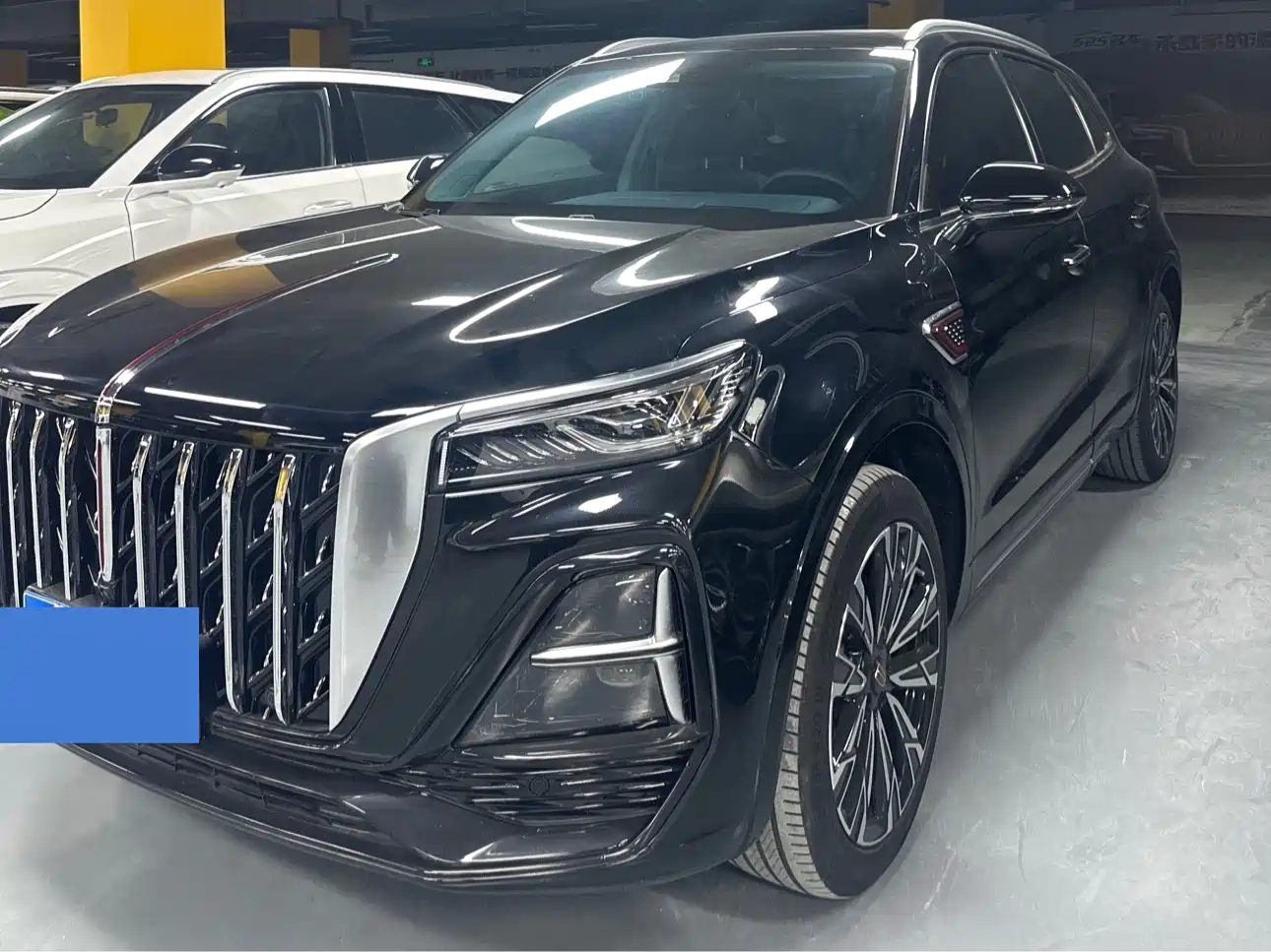 Hongqi HS5 2023 2.0T AWD Flag Pro 500,000 Units Commemorative Edition