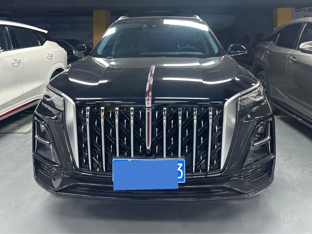 Hongqi HS5 2023 2.0T AWD Flag Pro 500,000 Units Commemorative Edition фото 2