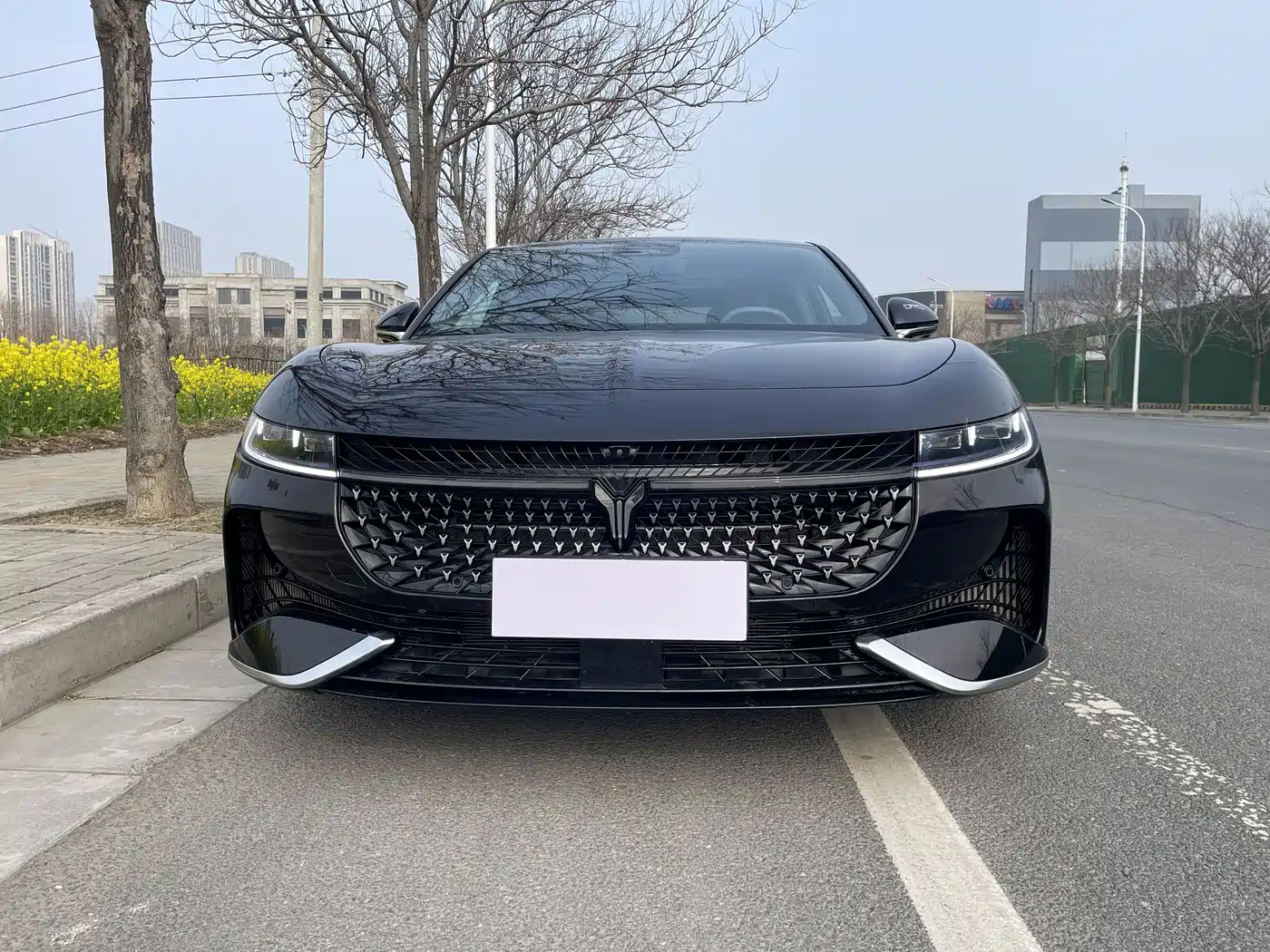 Voyah Auto VOYAH Zhuiguang 2024 PHEV AWD Ultra Long Range Flagship фото 2