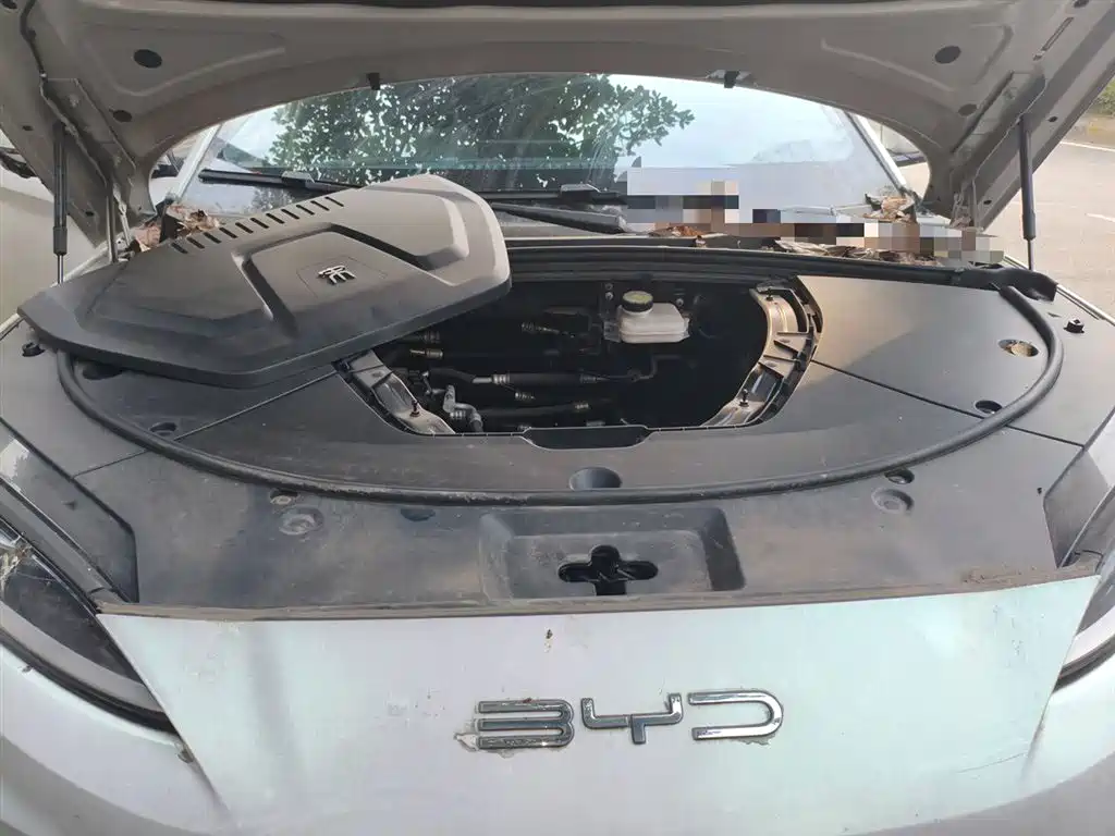BYD Song PLUS PHEV 2023 Champion Edition EV 520KM Premium фото 11