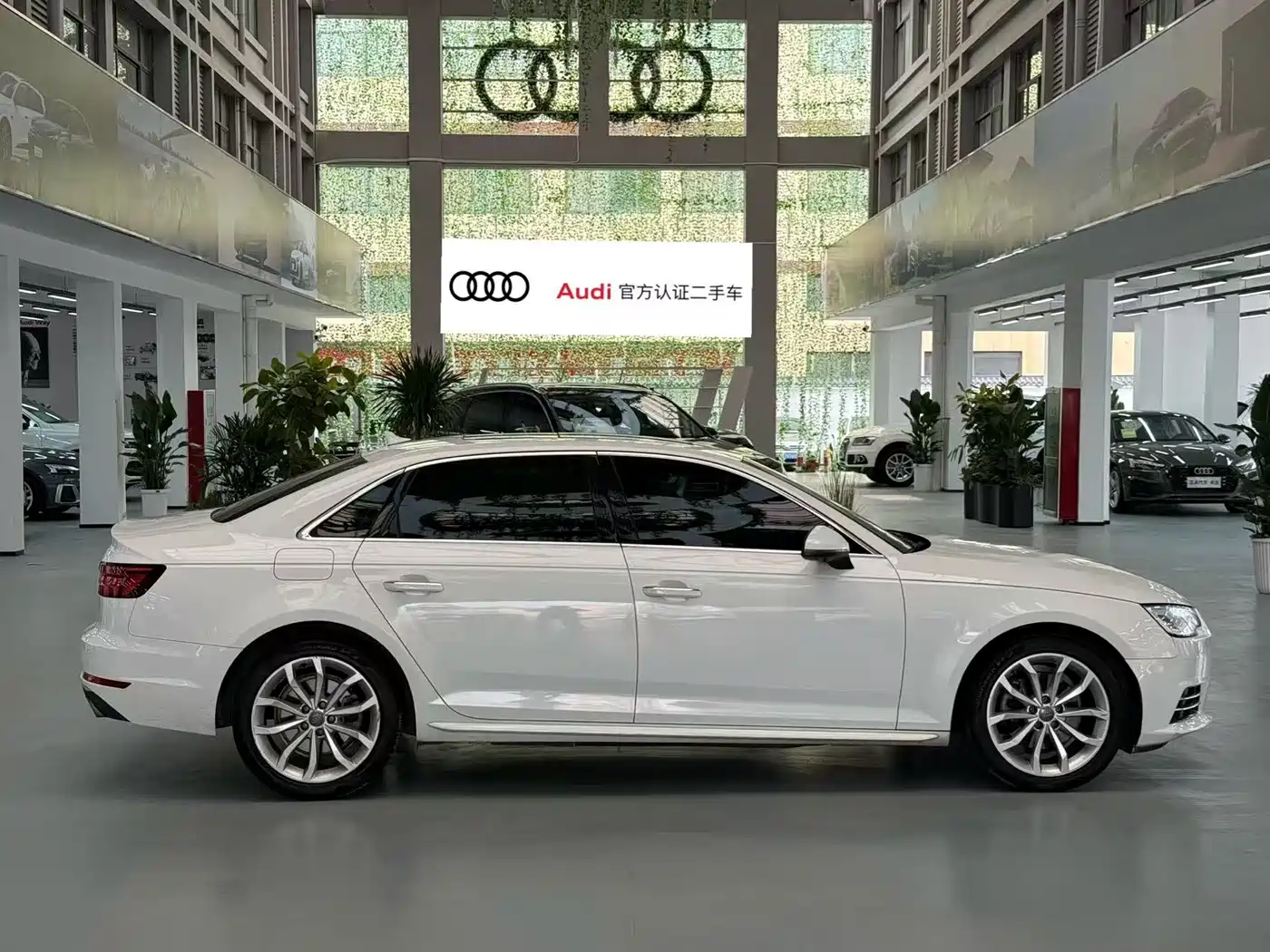 Audi A4L 2018 30th Anniversary 40 TFSI Progressive фото 3