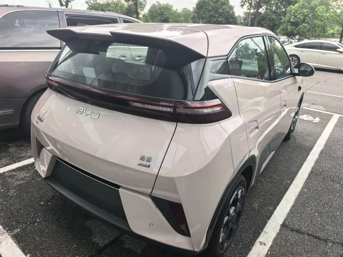 BYD Seagull 2025 Smart Drive Edition 305km Freedom Version фото 5