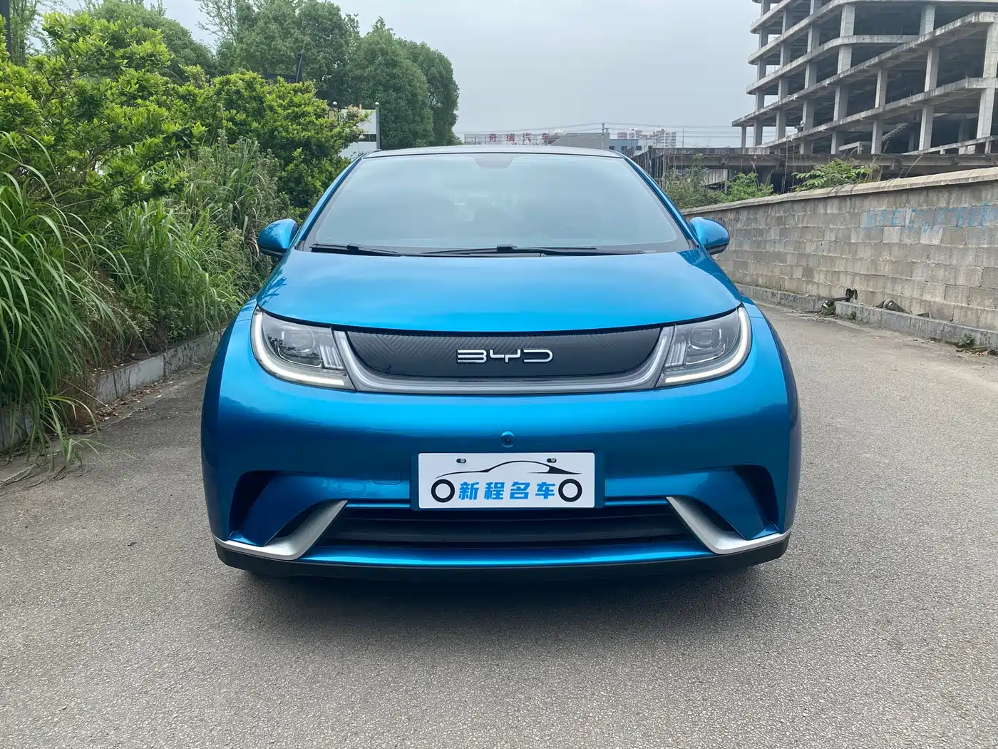 BYD Dolphin 2021 Model 405km Fashion Edition фото 2