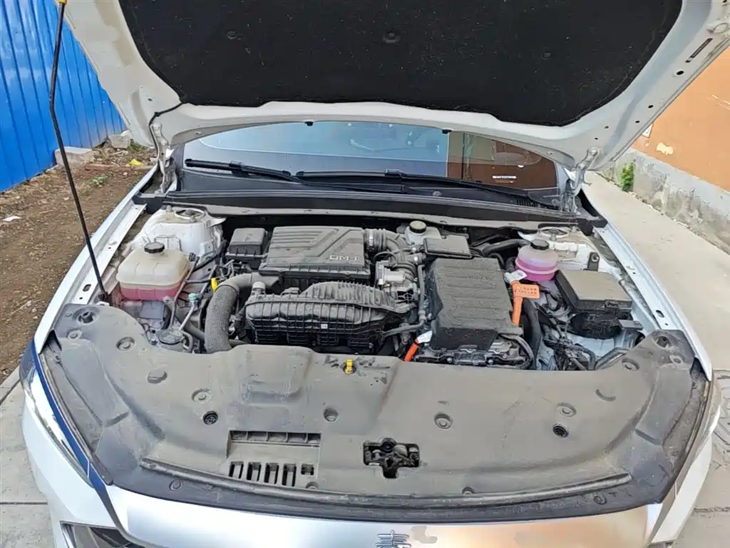BYD Qin PLUS 2024 Glory Edition DM-i 55KM Leading фото 19