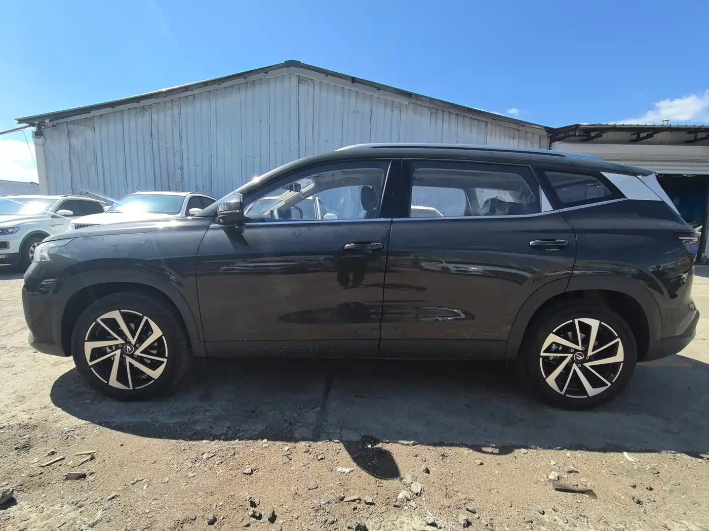 Jetta VS8 2026 2025 Base