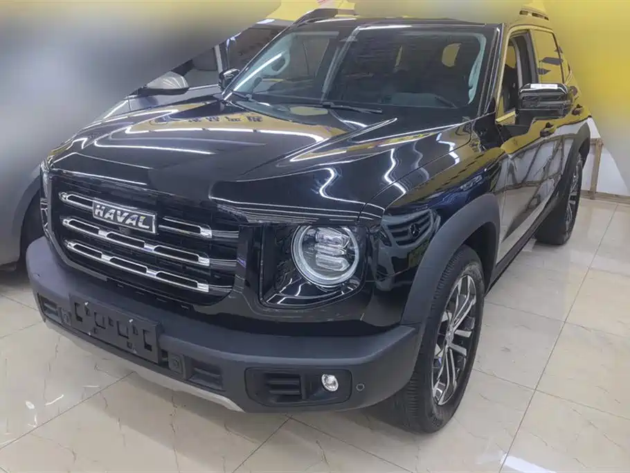 Haval Big Dog 2021 1.5T DCT 2WD Border Collie Edition