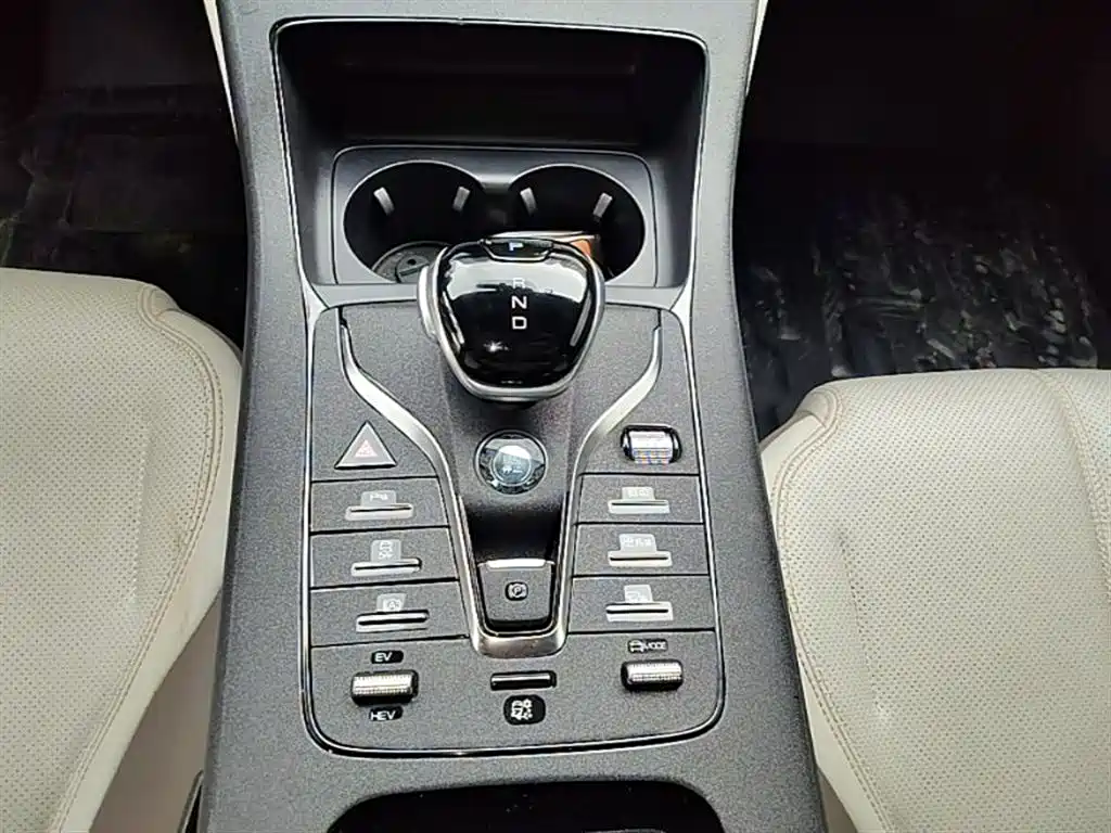 BYD Qin PLUS 2023 Champion Edition DM-i 55KM Leading фото 14