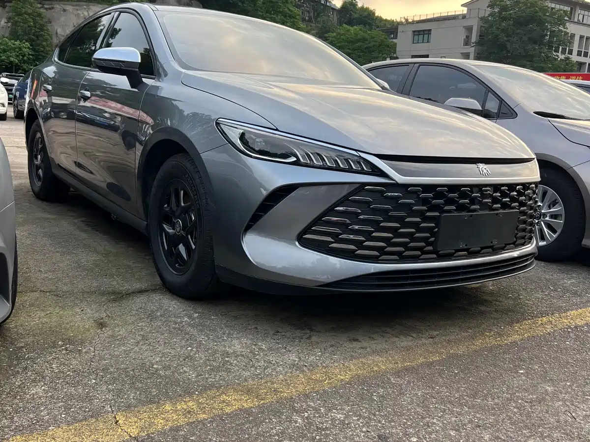 BYD Qin PLUS 2025 DM-i Smart Drive Edition 55KM Surpassing Type фото 2