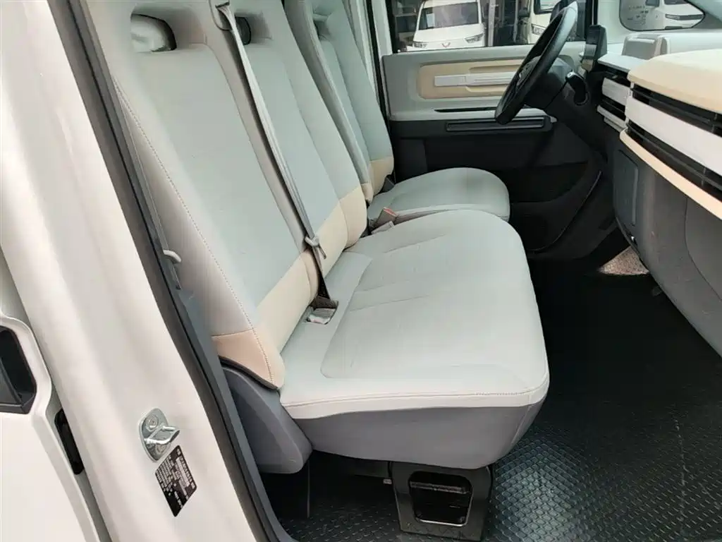 SAIC Maxus Dana V1 2023 Model V1 Short Wheelbase High Roof (43kWh) фото 25