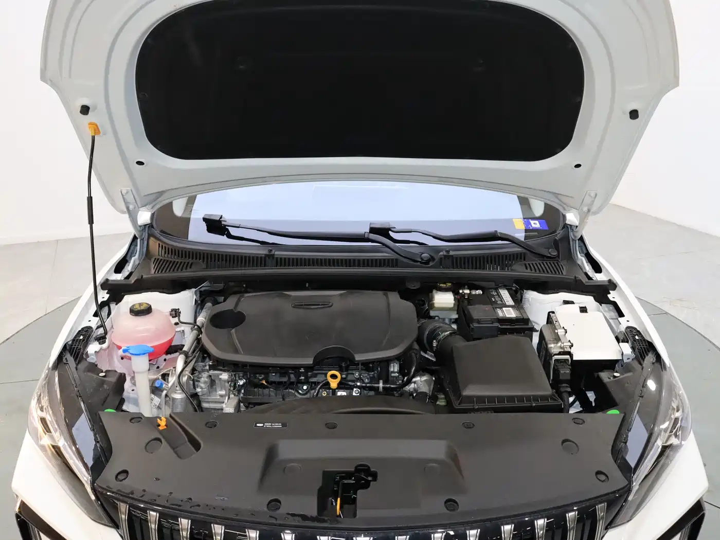 GEELY AUTOMOBILE BINRUI