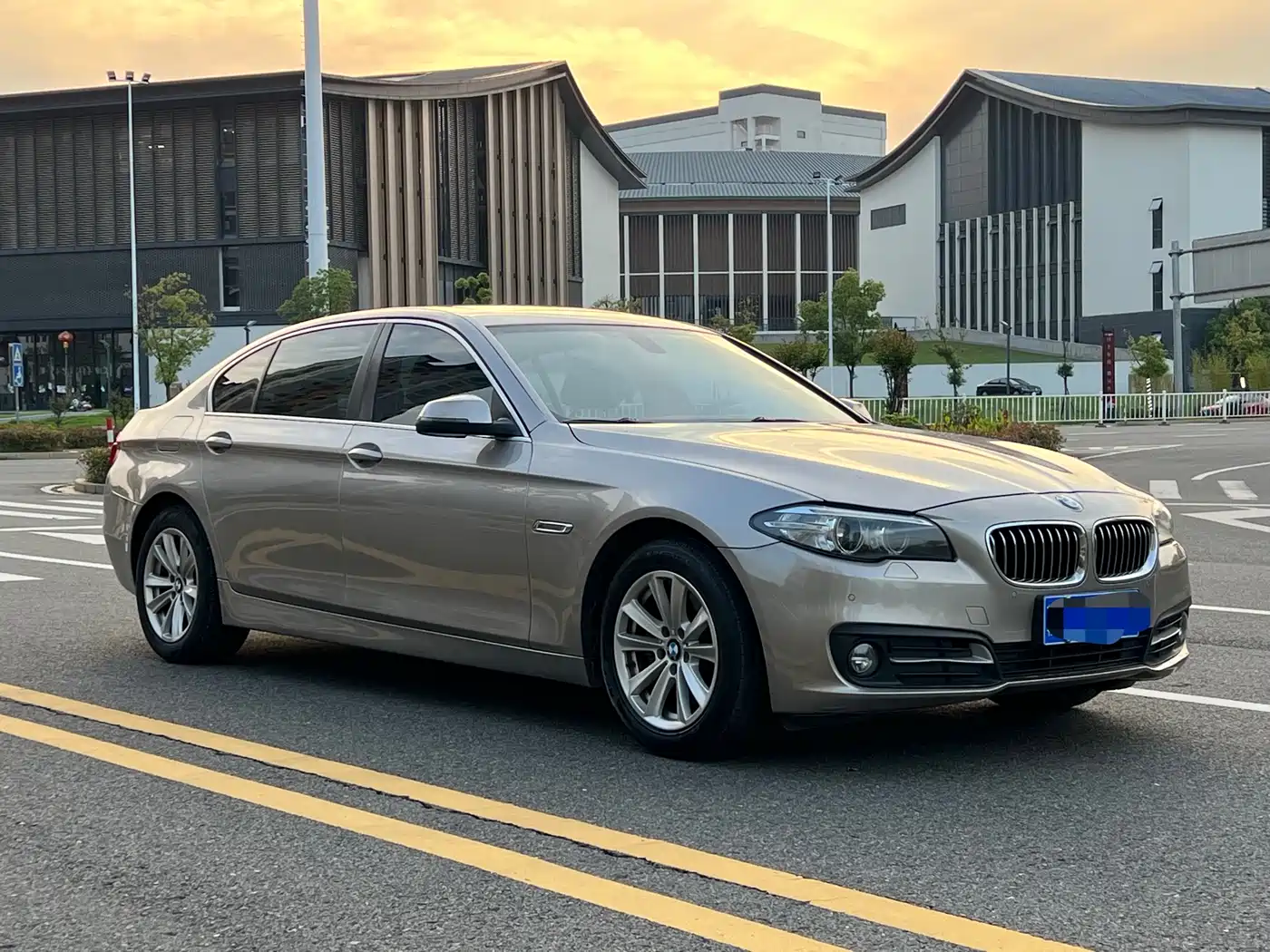 BMW 5 Series 2014 520Li Elegance фото 3