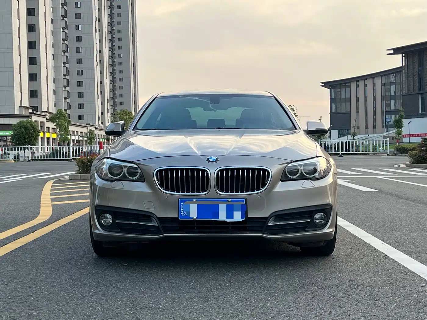 BMW 5 Series 2014 520Li Elegance фото 2