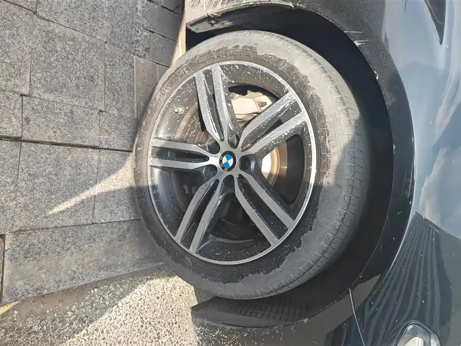 BMW 5 Series 2021 530Li xDrive Luxury Package фото 6