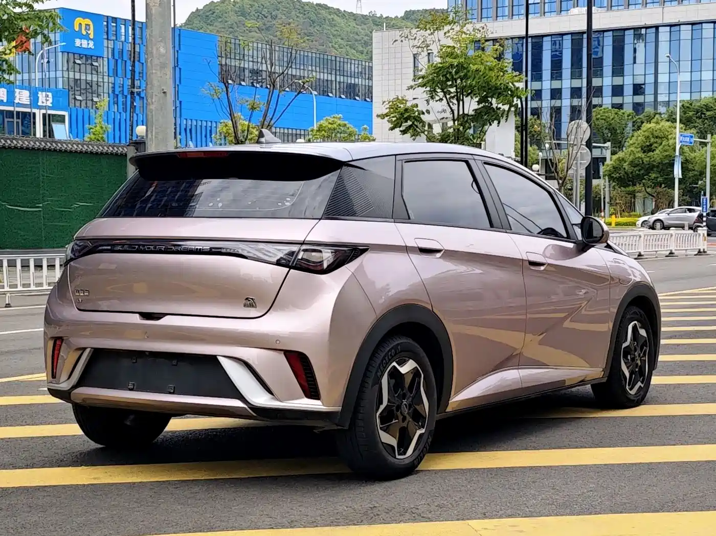 BYD Dolphin 2021 Model 405km Fashion Edition фото 5