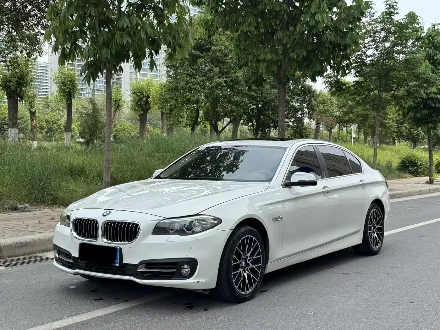 BMW 5 Series 2014 528Li xDrive Premium фото 2