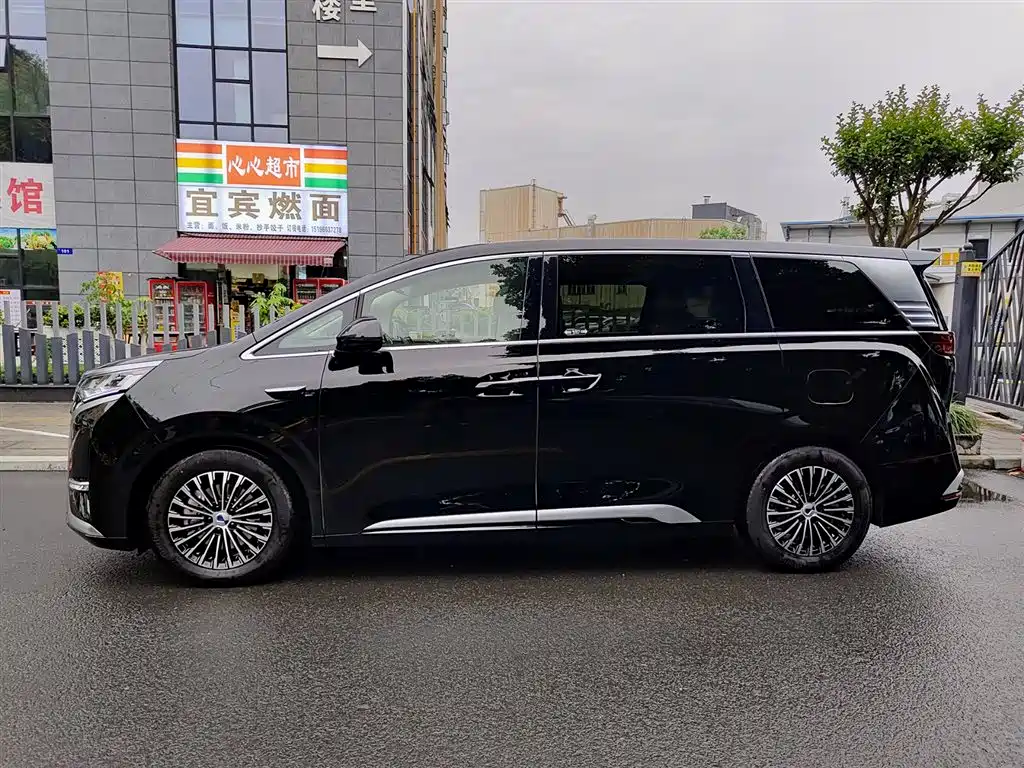Denza D9 2025 DM-i Smart Drive Edition 1020 AWD Prestige фото 3