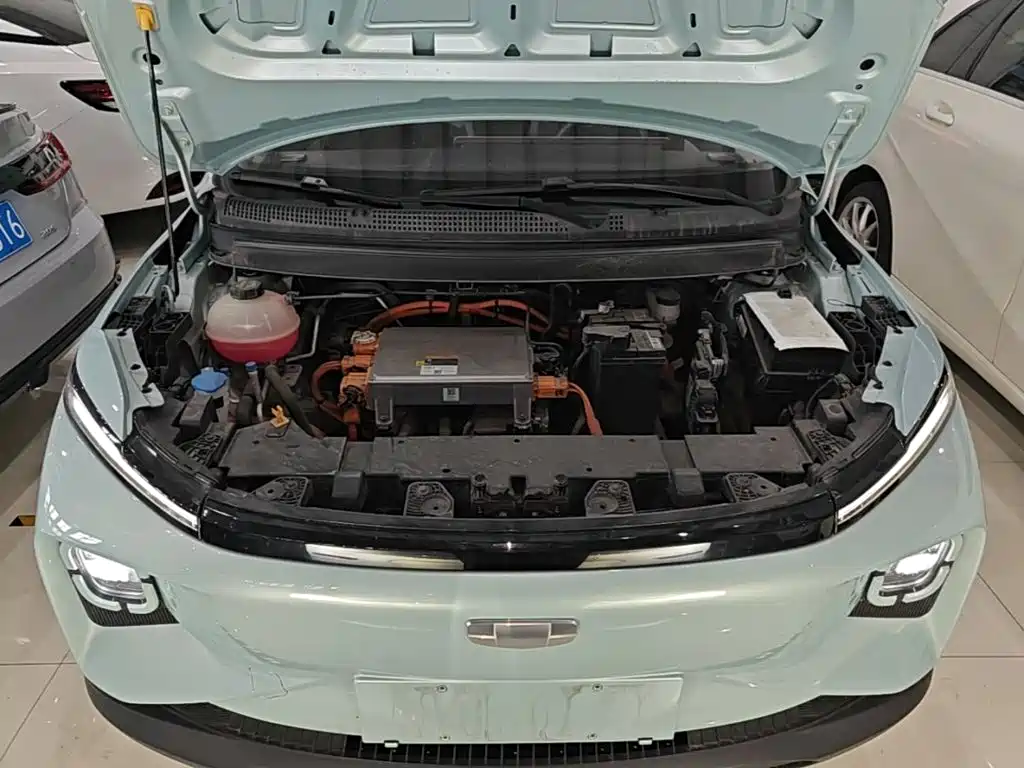 Geely Geometry E Firefly 2024 2024 301km Soaring Dragon Edition