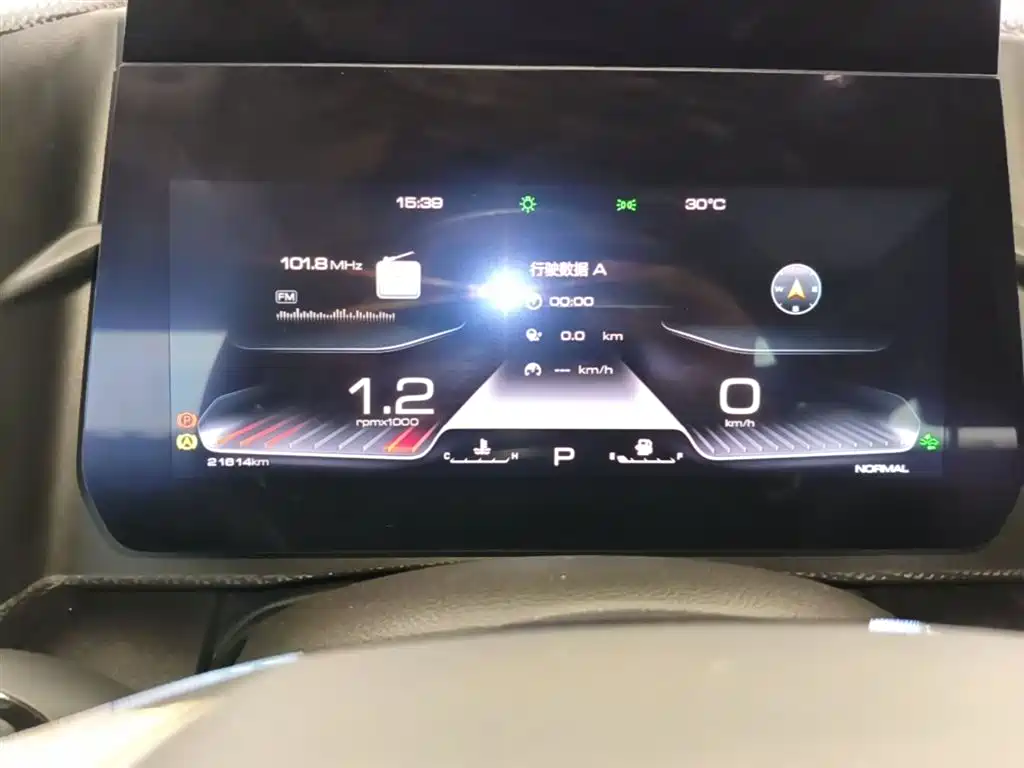 Haval Big Dog 2021 1.5T DCT 2WD Border Collie Edition фото 12