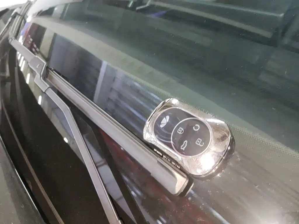 Chery Fengyun Fengyun T9 2025 2025 120 Long Range Premium 5-seater LFP