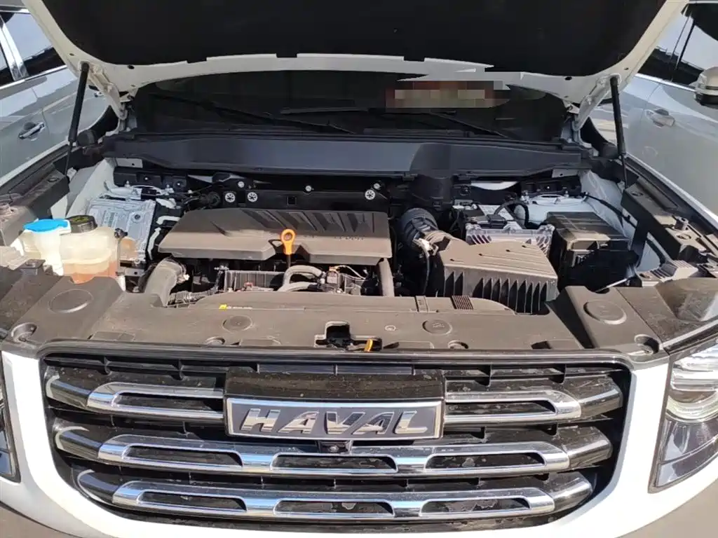 Haval Big Dog 2021 1.5T DCT 2WD Border Collie Edition фото 20