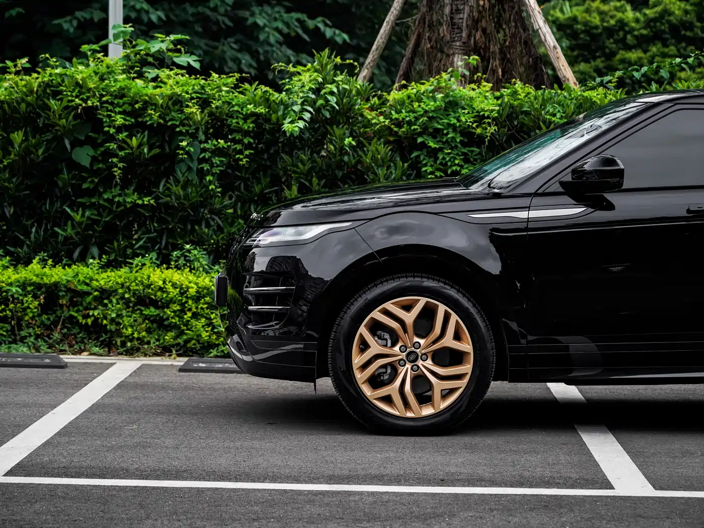 Land Rover Range Rover Evoque 2023 Range Rover Evoque L 249PS Luxury Edition фото 18