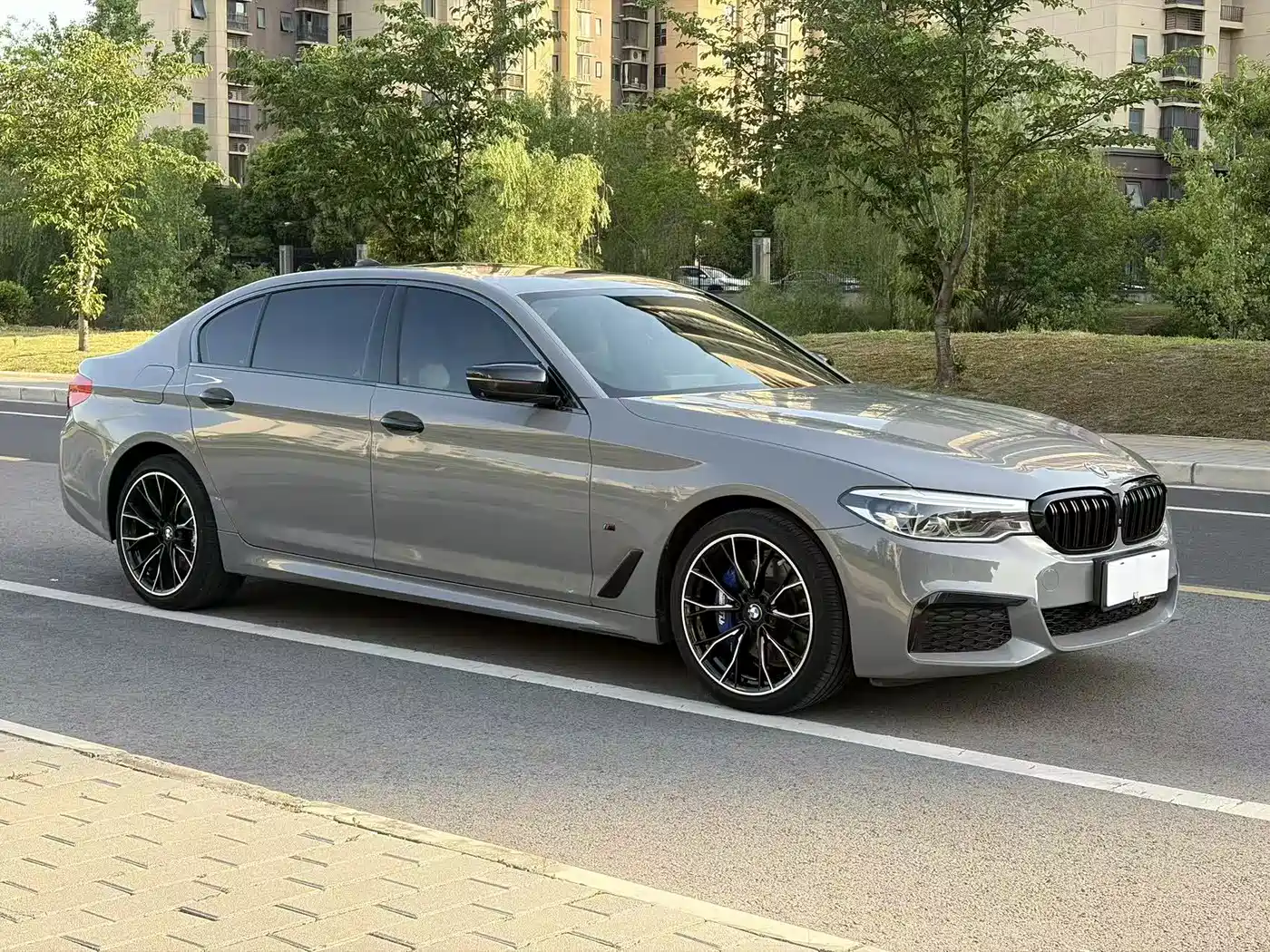 BMW 5 Series 2020 530Li Exclusive M Sport Package фото 2