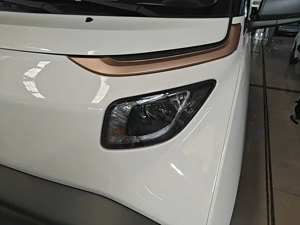 Baojun E200 2021 2020 305KM Smart Edition